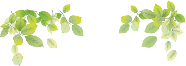 Ветки листьев на прозрачном фоне