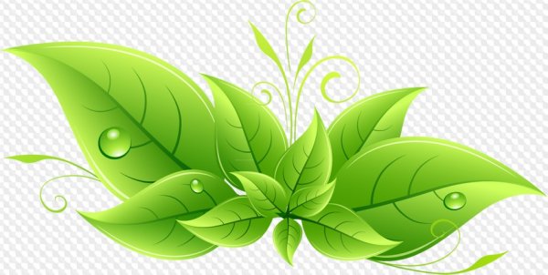 Зеленый лист вектор