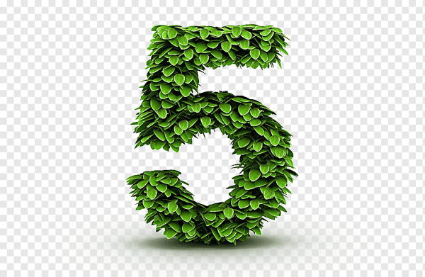 Цифры из травы