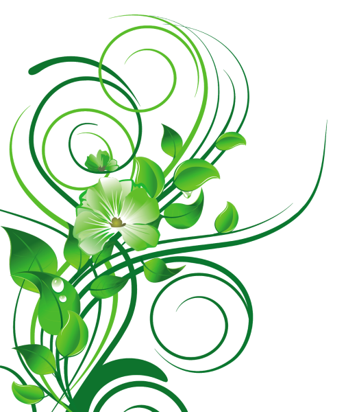 Растения элементы на белом фоне