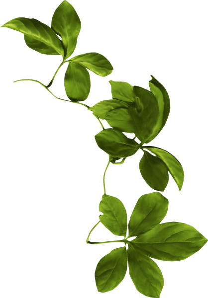 Зеленый лист