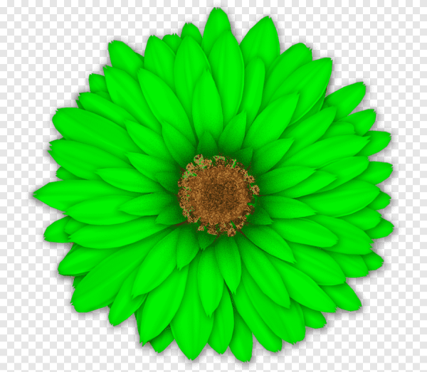 Зеленый цветок для детей