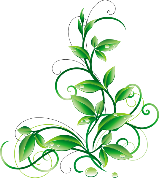 Зеленые узоры на прозрачном фоне