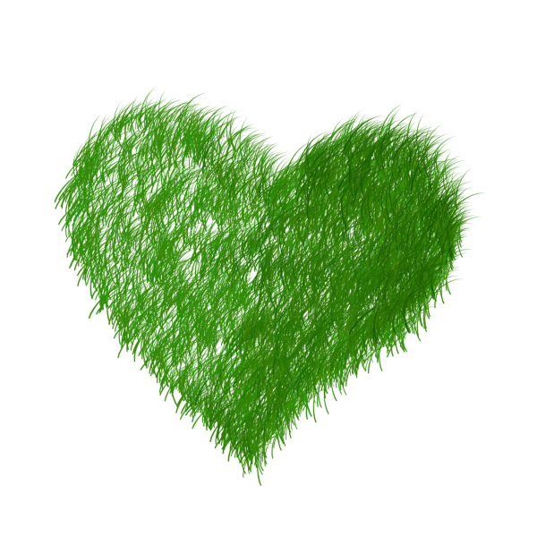 Сердце из травы