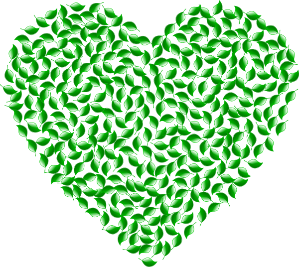Зеленое сердце на прозрачном фоне
