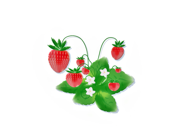 Земляничка Ягодка