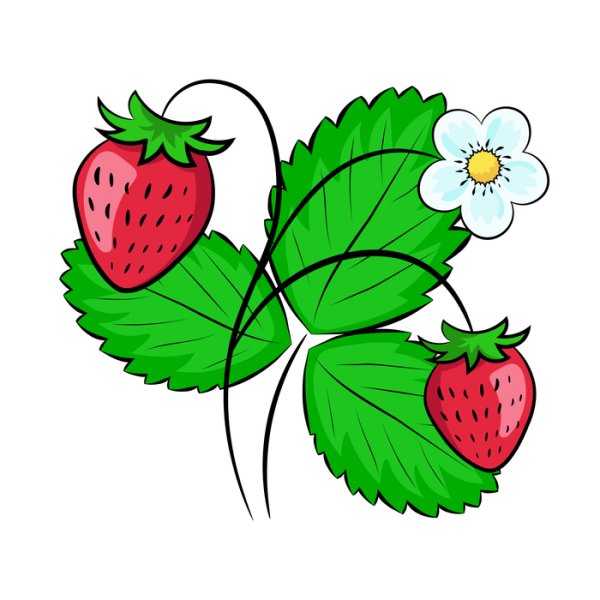 Нарисовать земляничку