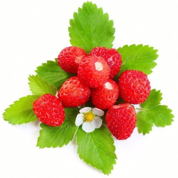 Клубника на белом фоне