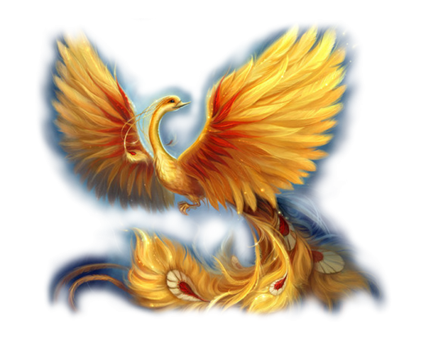 Феникс золотистый