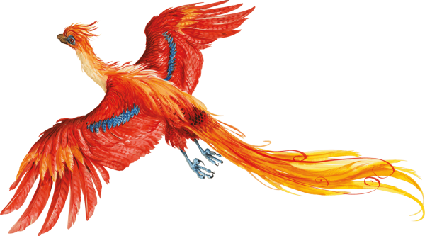 Перо Феникса из Гарри Поттера