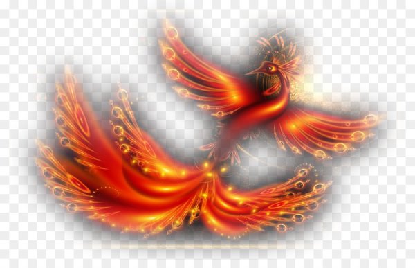 Волшебная птица