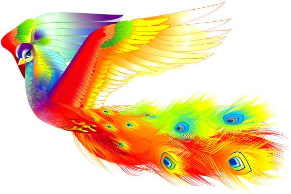 Радужная Жар птица