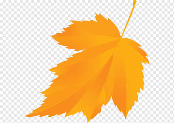 Векторный осенние листья