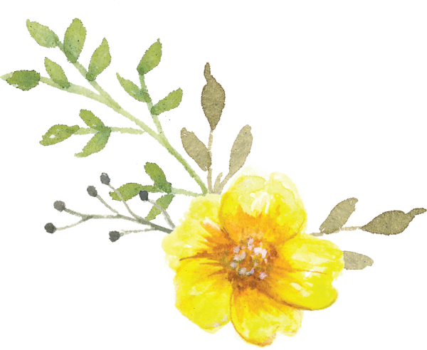 Жёлтые Акварельные цветочки
