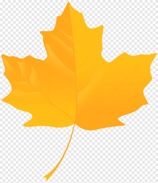 Кленовый лист желтый