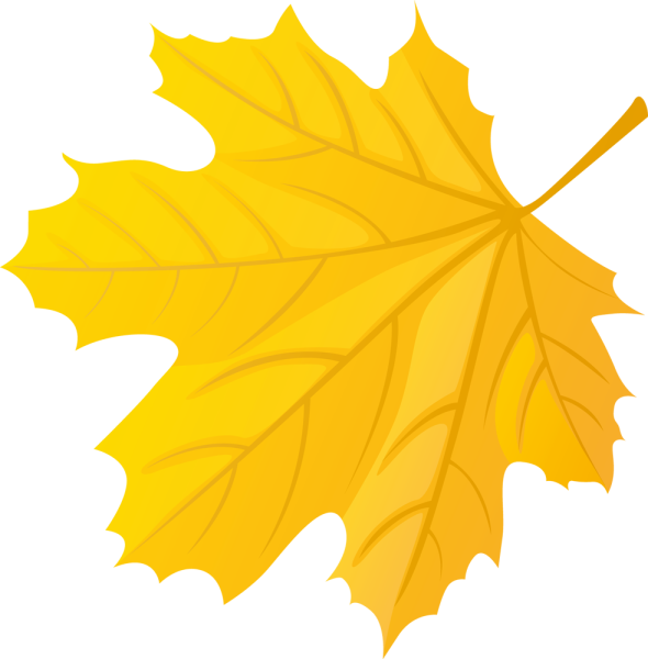 Кленовые листочки желтые