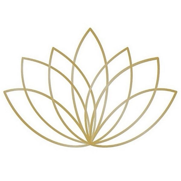 Контур лотоса на прозрачном фоне