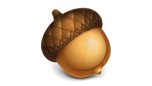 Желудь рисунок