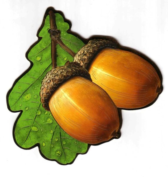 Желудь орех