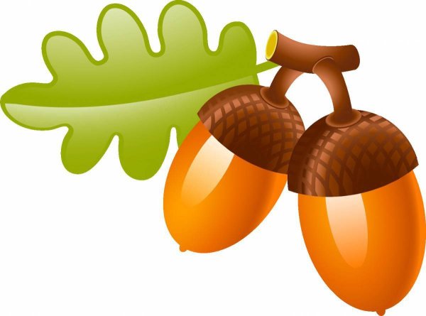 Желудь для детей