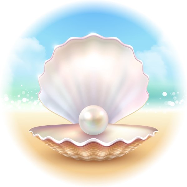 Ракушка с жемчужиной