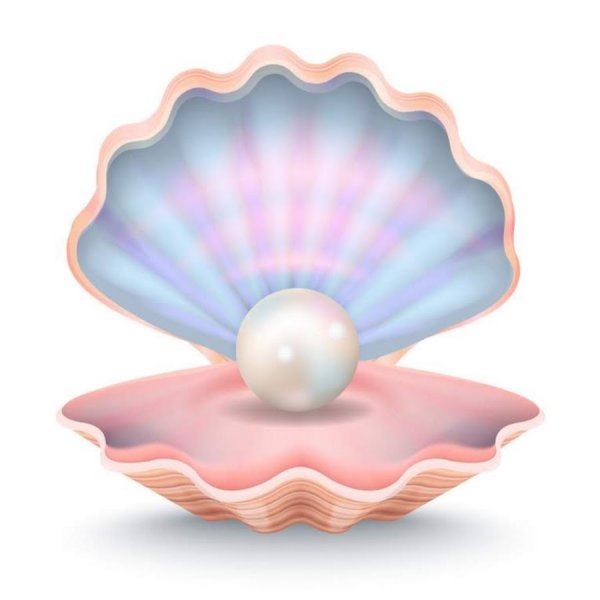 Ракушка с жемчужиной для детей