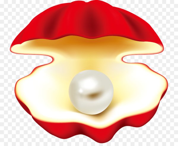 Жемчужина в раковине мультяшная