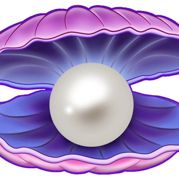 Ракушка для детей