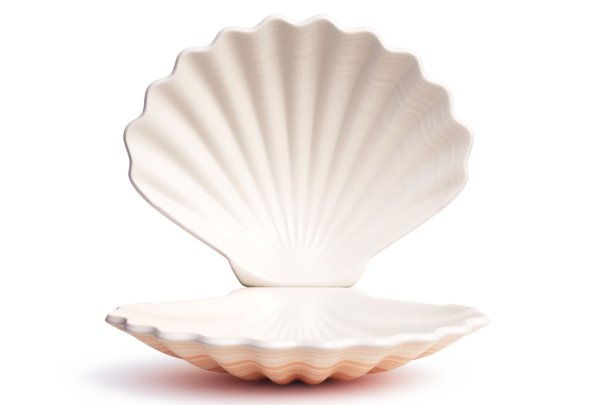 Раскрытая раковина с жемчужиной