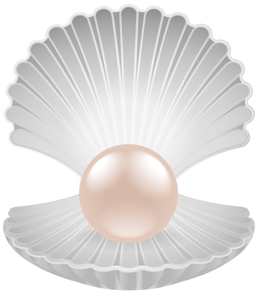 Жемчужина в раковине без фона