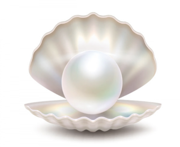 Жемчужная раковина