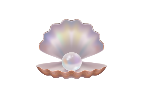 Ракушка с жемчужиной