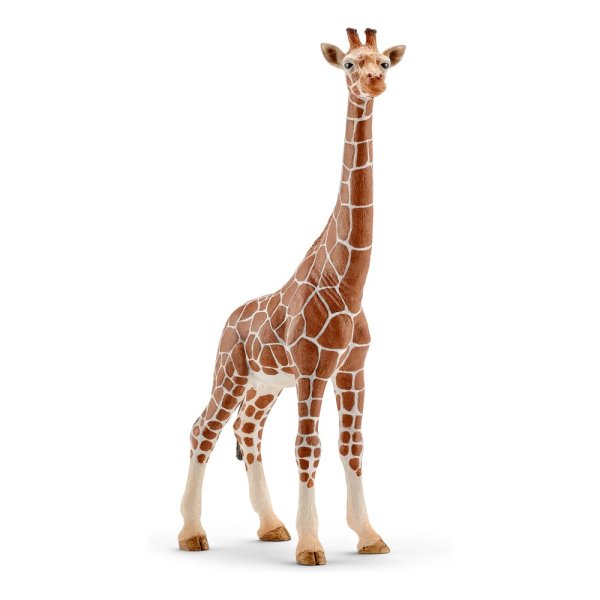 Фигурка Schleich Жираф самка 14750
