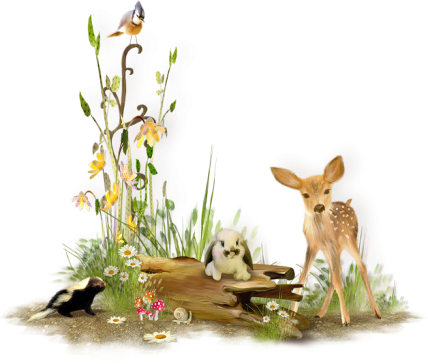 Клипарты на прозрачном фоне природа