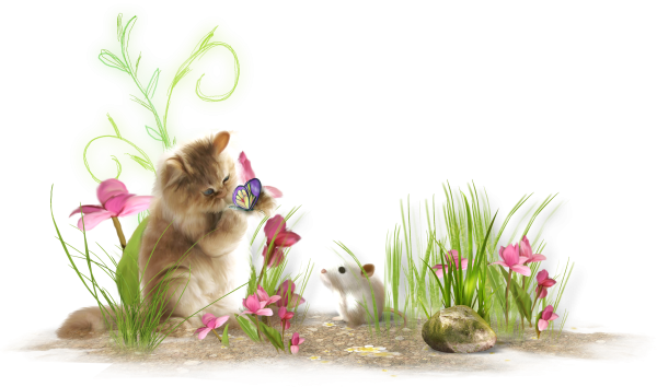 Котенок с цветами на прозрачном фоне