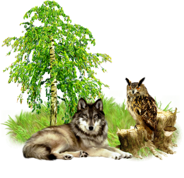 Живая природа без фона