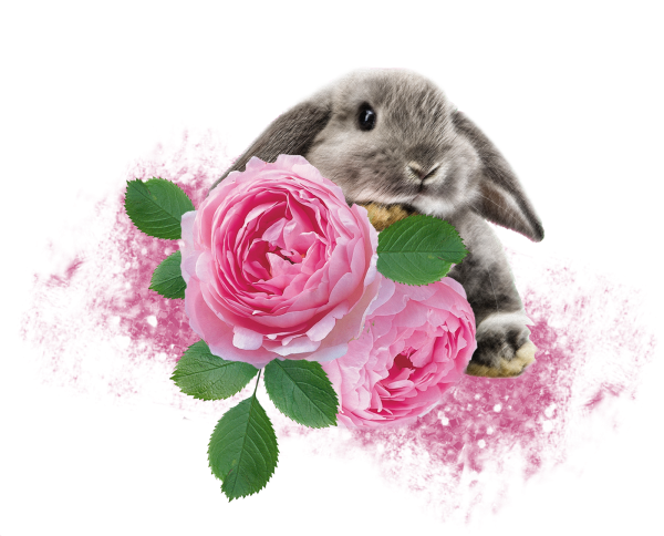 Зайчик с цветком