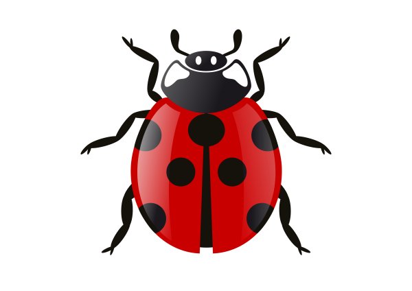 Жук для детей