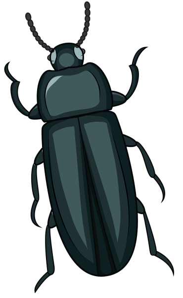 Жук вектор