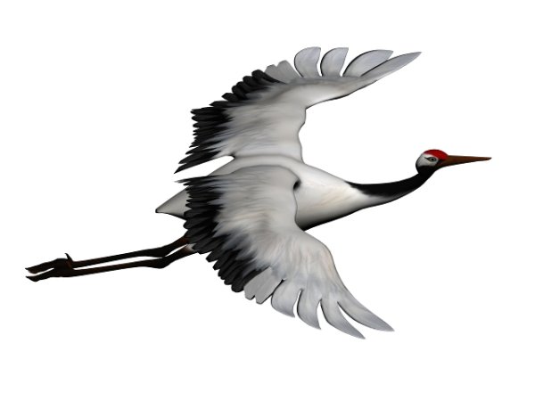 Журавли летят на белом фоне