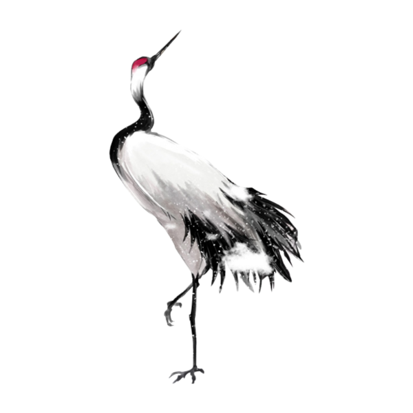 Журавль на белом фоне