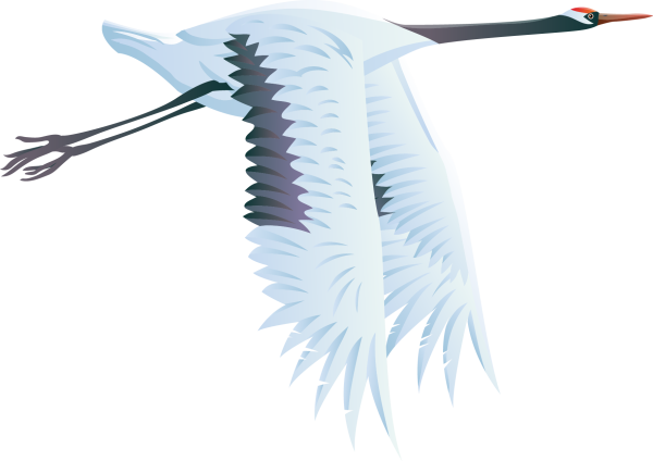 Журавль на белом фоне