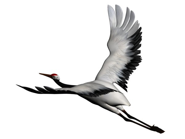 Геншин Журавли модель