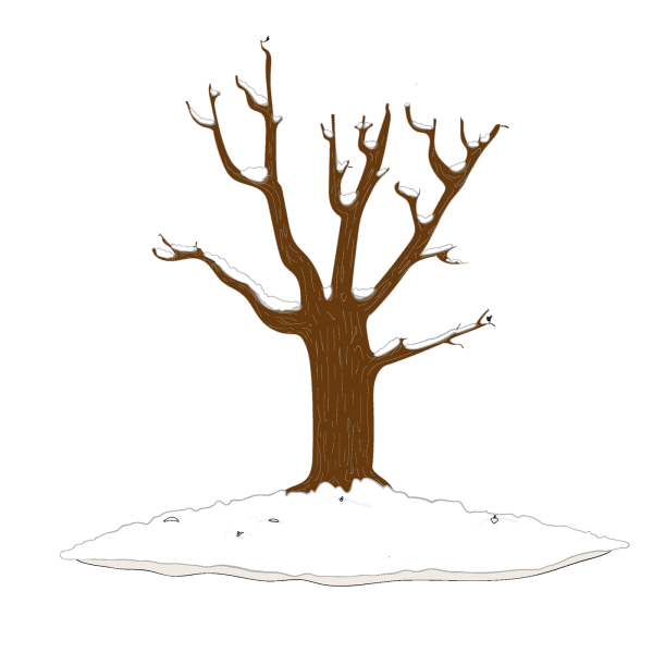 Дерево в снегу без фона