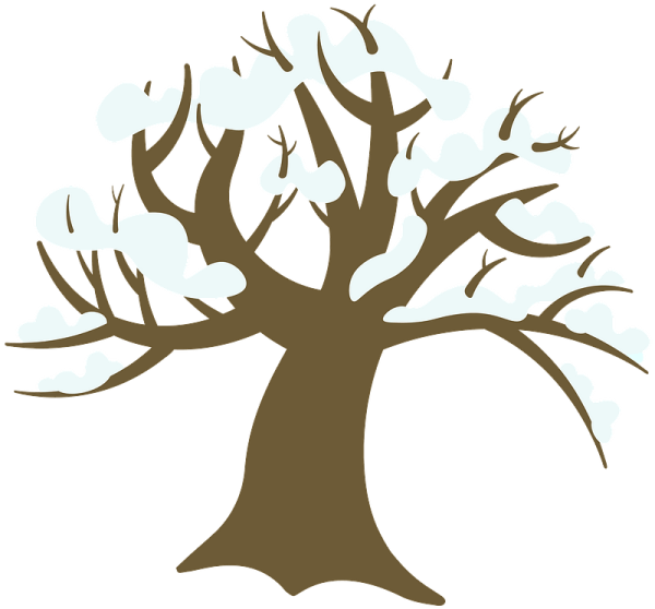 Зимнее дерево клипарт