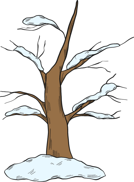 Клипарт деревья в снегу на прозрачном фоне