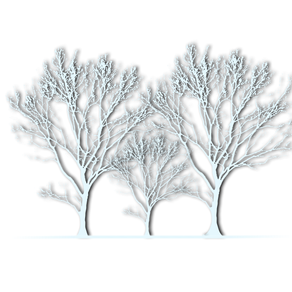 Заснеженные деревья на прозрачном фоне