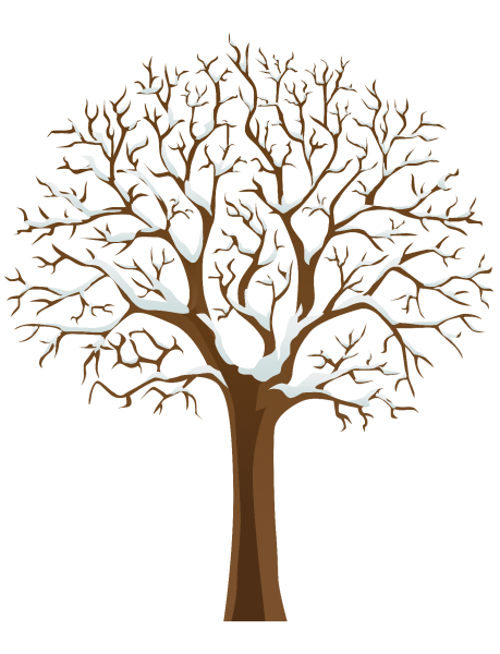 Дерево без листьев