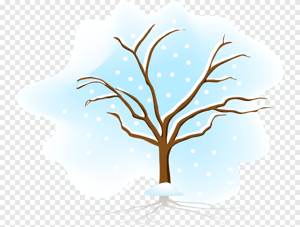 Нарисовать зимнее дерево