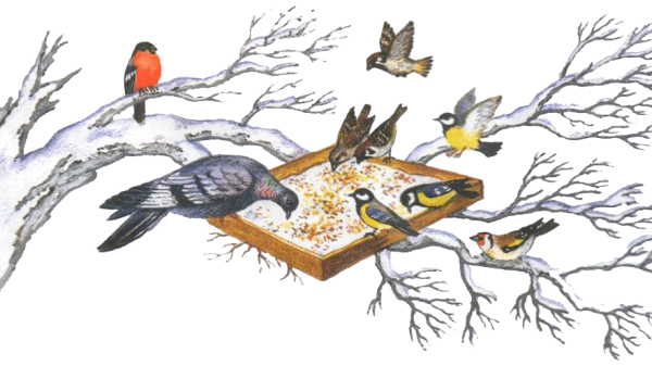 Зимовка птиц для детей